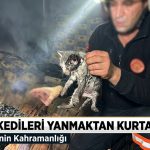 Çankırı İtfaiyesi’nden Kahramanlık Öyküsü: Alevlerden Kurtarılan Minik Canlar