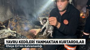 Çankırı İtfaiyesi’nden Kahramanlık Öyküsü: Alevlerden Kurtarılan Minik Canlar