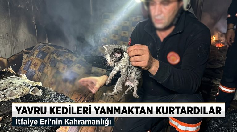 Çankırı İtfaiyesi’nden Kahramanlık Öyküsü: Alevlerden Kurtarılan Minik Canlar
