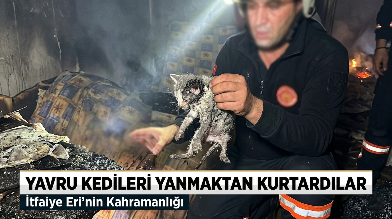 Çankırı İtfaiyesi’nden Kahramanlık Öyküsü: Alevlerden Kurtarılan Minik Canlar
